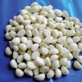 2016 New Crop Fresh Peeled Garlic with High Quality